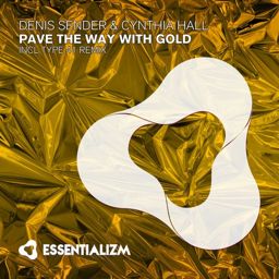 Pave The Way With Gold (Original Mix)